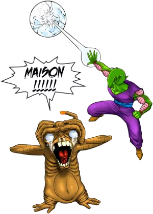 MAISON !!!!!!!!!!!!!!!