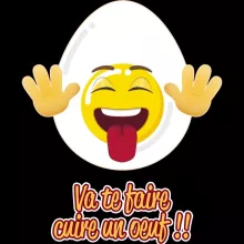 Coque Téléphone Portable Humoristique « Va te faire cuire un oeuf !! » – Parodie Funny