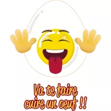 Mug Humoristique « Va te faire cuire un oeuf !! » – Parodie Funny