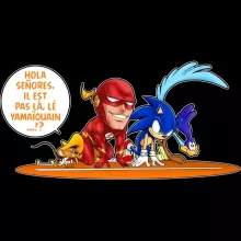 Bonnet « Le 100 M le plus rapide de tous les temps !! » – Parodie Flash