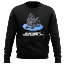 Pull Krokmou « Une bonne hygiène de vie commence toujours par...soi ! » – Parodie Dragons