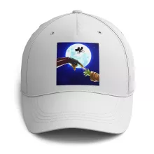 Casquettes 