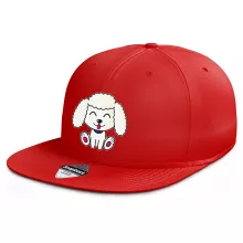 Casquette Rap Snapback Kawaii