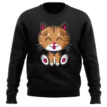 Pull « Kawaii Baby Cat (tigré) » – Parodie Kawaii Baby Cats