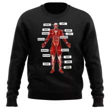 Pull Le Titan Colossal « Titanatomie colossale... » – Parodie L'attaque des Titans