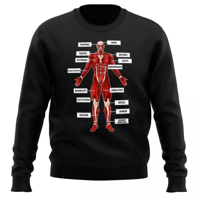 Pulls Parodie L'attaque des Titans Titanatomie colossale... :) - Le Titan Colossal