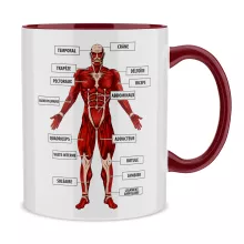 Mug Le Titan Colossal « Titanatomie colossale... » – Parodie L'attaque des Titans