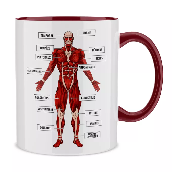 Mugs Parodie L'attaque des Titans Titanatomie colossale... :) - Le Titan Colossal