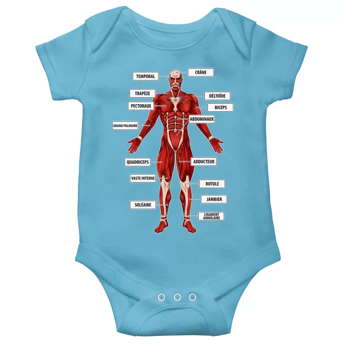 Body bébé manches courtes (garçons) Parodie L'attaque des Titans Titanatomie colossale... :) - Le Titan Colossal