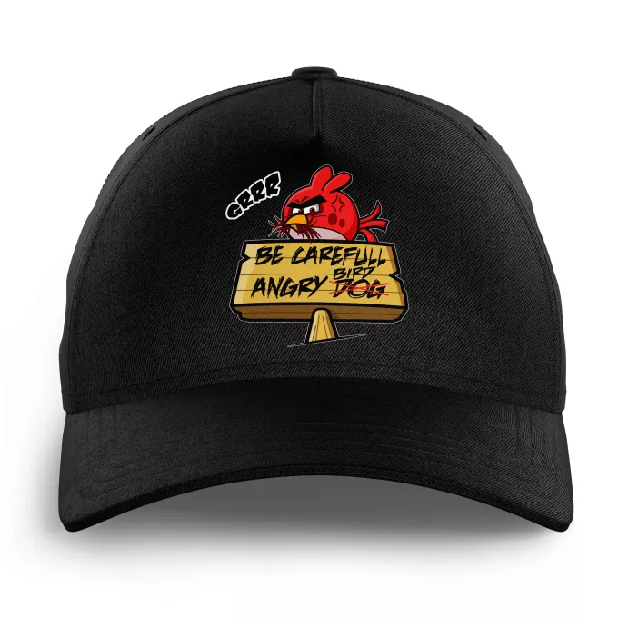 Kids Caps Parody of Angry Birds Angry Birds