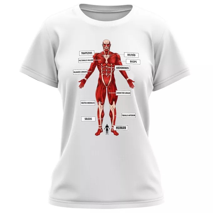 Women T-shirts Parody of Attack on Titan The colossal Titan