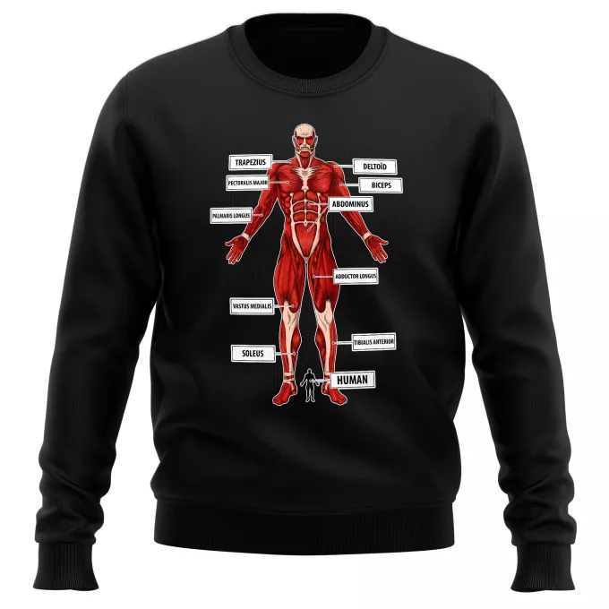 Pullovers Parody of Attack on Titan The colossal Titan