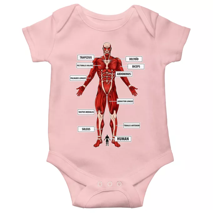Short-sleeved baby bodysuit (Girls) Parody of Attack on Titan The colossal Titan