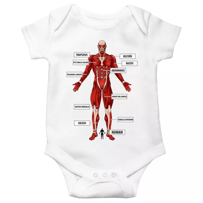 Short sleeve Baby Bodysuits Parody of Attack on Titan The colossal Titan