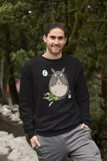 Pull Totoro « Ni Vu ni connu... » – Parodie Zelda