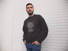 Pull « Kawaii Baby Cat (Bleu) » – Parodie Kawaii Baby Cats