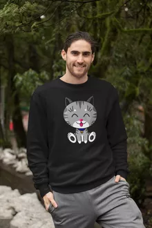 Pull « Kawaii Baby Cat (gris tigré) » – Parodie Kawaii Baby Cats