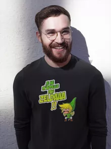 Pull Link « Un Coup de gueule de héros... » – Parodie Zelda