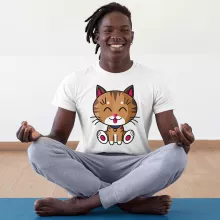 T-shirt « Kawaii Baby Cat (tigré) » – Parodie Kawaii Baby Cats