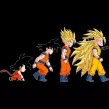 Gorro Son Goku “A Teoria da Evolução Saiyajin” – Dragon Ball Z de parodia