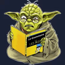Sweat-Shirt à capuche Yoda « En grammaire, un zéro, il est... » – Parodie Star Wars