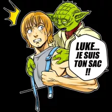 Pull Yoda « Luke... Je suis ton sac !! » – Parodie Star Wars