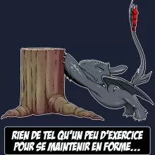 Sweat-Shirt à capuche Krokmou « Rien de tel qu'un peu d'exercice pour se maintenir en forme... » – Parodie Dragons
