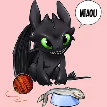 Toothless Baby Bodysuit (Baby Girls) – How to train your Dragon parody