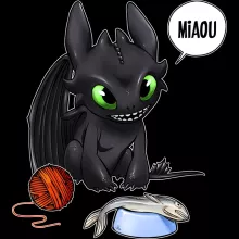 T-shirt bébé Krokmou « Un vrai dragon domestique... » – Parodie Dragons