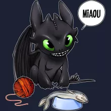 Sweat-Shirt à capuche Krokmou « Un vrai dragon domestique... » – Parodie Dragons
