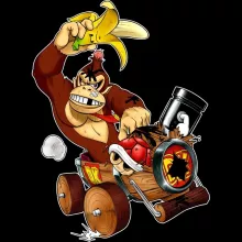 Donkey Kong Sweater – Mario Kart parody