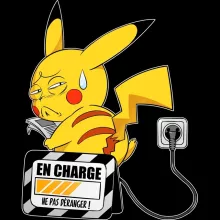 Camisolas com capuz para crianças – Pokémon de parodia