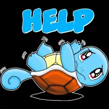 Sweat à capuche Enfant Carapuce « Help !!! » – Parodie Pokémon