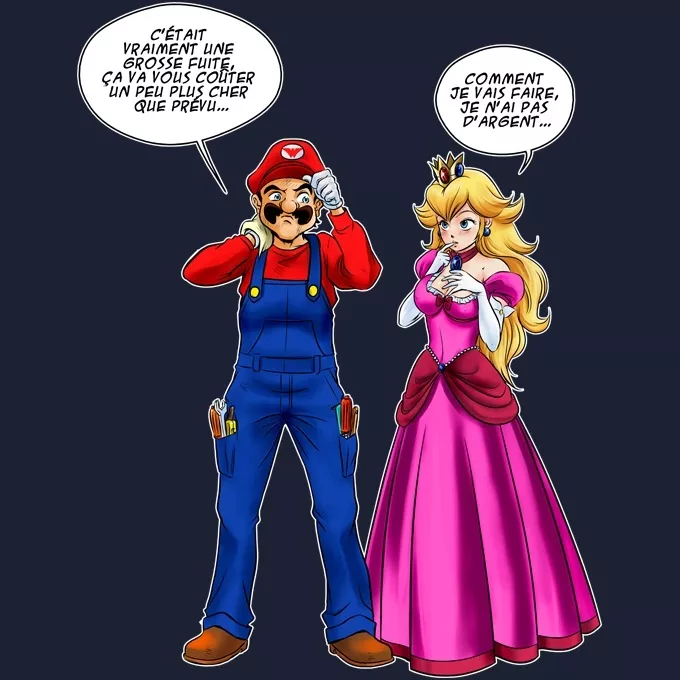 Sweat-shirts à Capuche PREMIUM Parodie Super Mario Le plombier et la blonde pulpeuse... - Princesse Peach