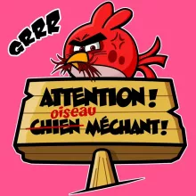 T-shirt Enfant Fille « Oiseau méchant » – Parodie Angry Birds