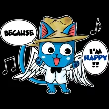Sudadera Niño Happy – Parodia de Fairy Tail