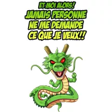 Affiche HD / Poster HD Shenron « Jamais personne me demande ce que je veux » – Parodie Dragon Ball Z