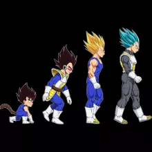 Body bébé manches longues Vegeta Super Saiyajin « La Théorie de l'évolution (Prince Edition) » – Parodie Dragon Ball Z