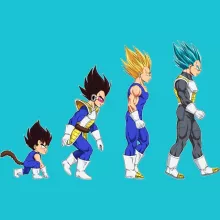 Camiseta Vegeta “La Teoría de la Evolución” – Parodia de Dragon Ball Z -DBZ