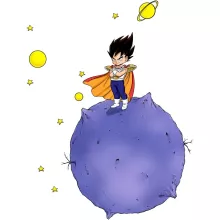 Der kleine Prinz Vegeta Kinder Kappe – Parodie auf Dragon Ball Z