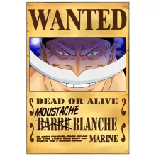 T-shirt Enfant Fille Edward Newgate « Le Wanted secret... » – Parodie One Piece