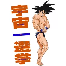 totebag Sangoku « Mister Univers - Candidat N° 11 » – Parodie Dragon Ball Z