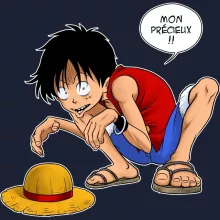Sweat-Shirt à capuche Luffy « Mon Précieux (Haki Version) » – Parodie One Piece