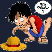 Sweat-Shirt à capuche Luffy « Mon Précieux (SD Edition) » – Parodie One Piece
