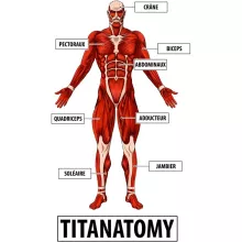 Body bébé Armin « Titanantomy » – Parodie L'attaque des Titans