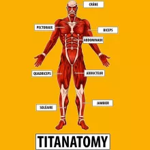 Casquette Enfant Armin « Titanantomy » – Parodie L'attaque des Titans