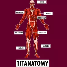 Casquette Armin « Titanantomy » – Parodie L'attaque des Titans