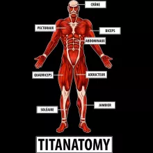 Pull Armin « Titanantomy » – Parodie L'attaque des Titans