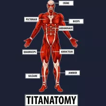 Sweat-Shirt à capuche Armin « Titanantomy » – Parodie L'attaque des Titans