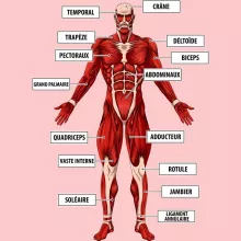 Body bébé (Filles) Le Titan Colossal « Titanatomie colossale... » – Parodie L'attaque des Titans